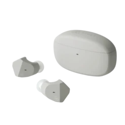 Final ZE2000 - True Wireless In Ear Isolating Earphones