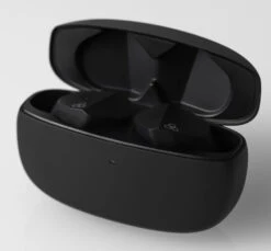 Final ZE2000 - True Wireless In Ear Isolating Earphones 12 Final ZE2000 - True Wireless In Ear Isolating Earphones -SENNHEISER Store finaol ze2000 black case2 1000x1000 1