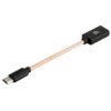 IFi Audio Android OTG Cable For USB-C - USB3.0-A Female To USB-C OTG 1 IFi Audio Android OTG Cable For USB-C - USB3.0-A Female To USB-C OTG -SENNHEISER Store iFi audio USB3.0 A Female to USB C OTG main 1000x1000 1