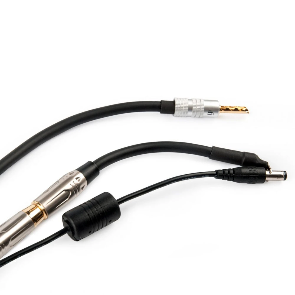 IFi Audio Groundhog+ - Ground Loop Isolator Kit For Audio Systems 4 IFi Audio Groundhog+ - Ground Loop Isolator Kit For Audio Systems - Image 2